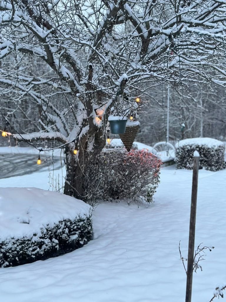 Cozy Corner Motel Winter Wonderland & Snowy Grounds