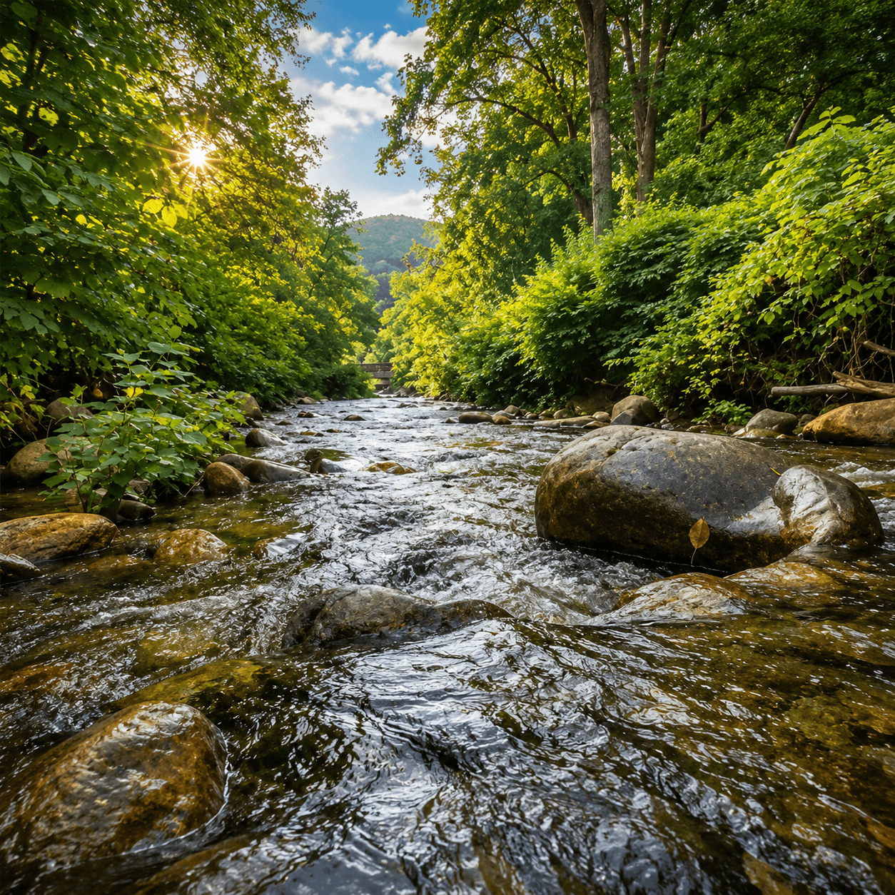 Berkshire Peaks Scenery